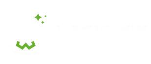 Coinflip Magicwin